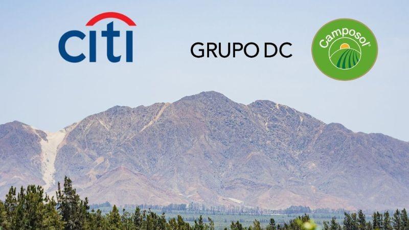 Camposol consolida línea de financiamiento con respaldo del Citibank para potenciar sus operaciones y cadena de valor 