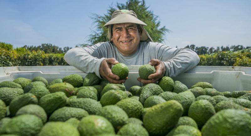 Camposol logra reconocimiento de la Huella de Carbono Perú por sus esfuerzos para reducir impacto de sus operaciones en el ambiente