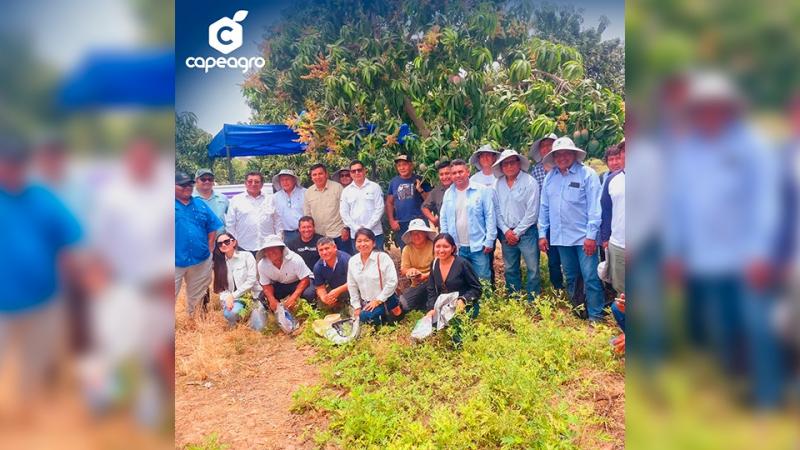 Capeagro realizó día de campo en Tambo Grande – Piura.