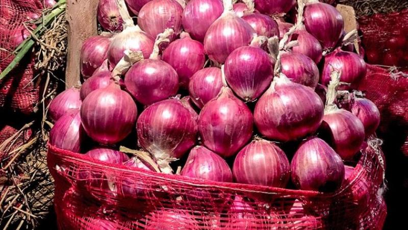Cebolla peruana: US$ 61,9 millones en exportaciones entre enero y septiembre