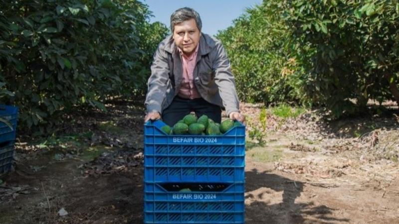 China están comenzando a desempeñar un papel importante en la importación de productos agrícolas orgánicos