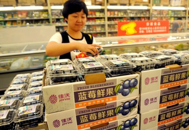 China: gran demanda de arándanos chilenos antes del Año nuevo chino
