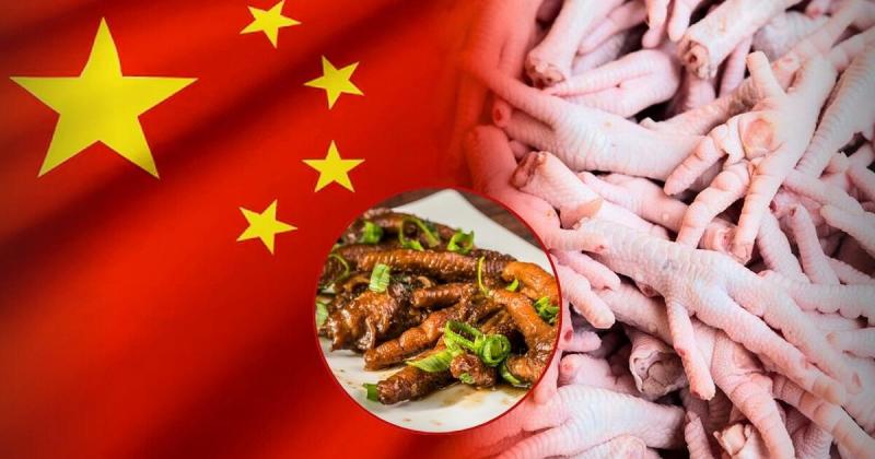 China y el potencial peruano para el despacho de patas de pollo