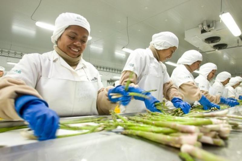 CNN SELECCIONA A DANPER PARA REPORTAJE SOBRE LOGÍSTICA DEL ESPÁRRAGO FRESCO PERUANO