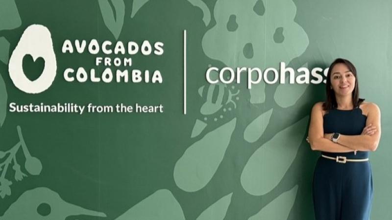 Colombia busca equilibrio 50-50 en exportaciones de palta entre Europa y Estados Unidos