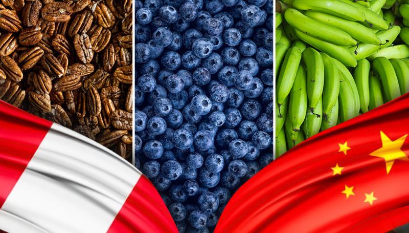 ComexPerú: oferta agroexportable de Perú hacia China tiene la oportunidad de seguir diversificándose
