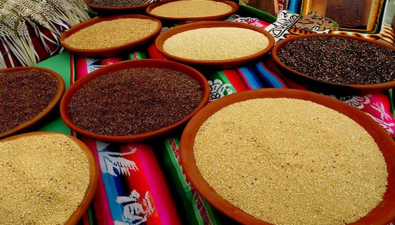 ComexPerú: Proyectos que plantean mezclar harina de trigo con quinua y granos andinos encarecerían productos de la canasta básica