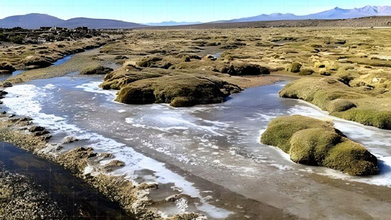 Comisión Agraria aprueba dictámenes para la protección de cuencas y la reforestación a nivel nacional