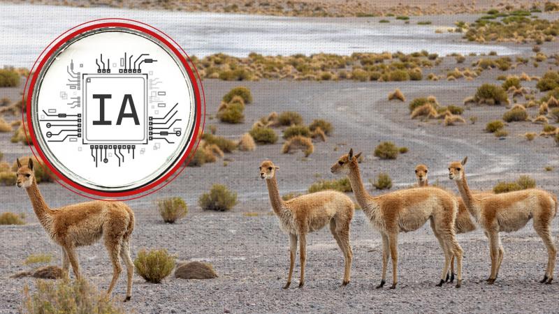 Comisión Agraria aprueba establecer el uso de la inteligencia artificial para proteger a vicuñas