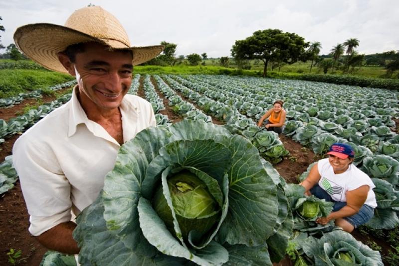 COMISIÓN AGRARIA DEL CONGRESO APROBÓ LEY DE SEGURIDAD ALIMENTARIA