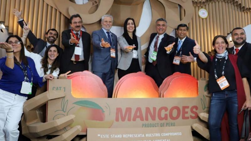 Comité de Envases y Embalajes de ADEX impulsa agenda estratégica de circularidad y sostenibilidad