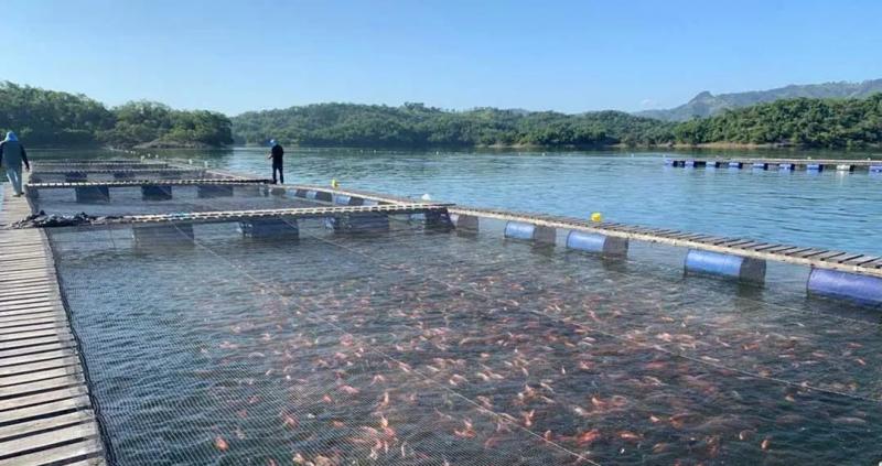 Comité de Pesca y Acuicultura de ADEX trabaja por la trazabilidad y sostenibilidad del sector