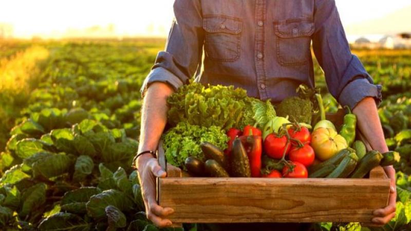 ¿Cómo reducir el desperdicio de alimentos?