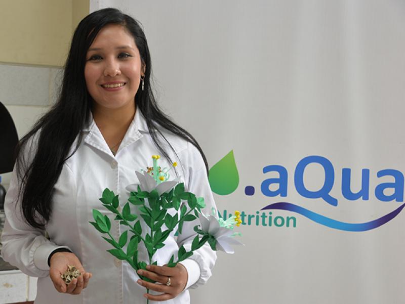 Con semillas de moringa purifican agua a bajo costo