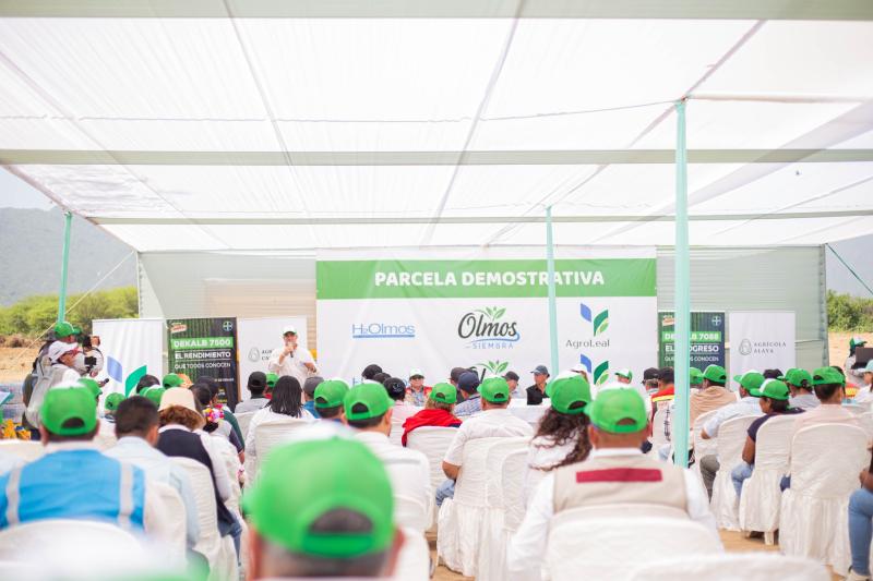 Concesionaria H2Olmos lanza proyecto “Olmos Siembra”