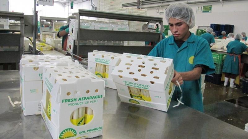 Consejo Fiscal sugiere al ministro de Economía que persista en eliminar progresivamente beneficios al sector agrario