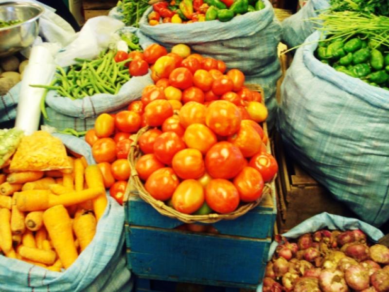 CONSUMO DE PRODUCTOS AGROECOLÓGICOS CRECE ENTRE 15% A 20% ANUAL