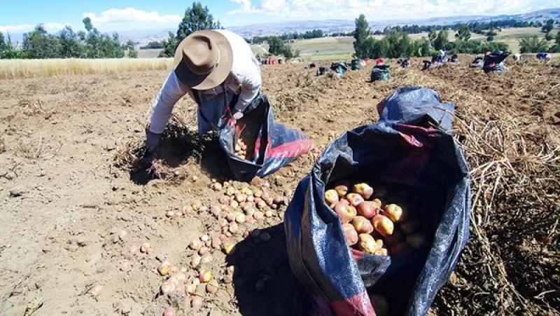 Conveagro baraja convocar a un paro nacional por crisis del agro