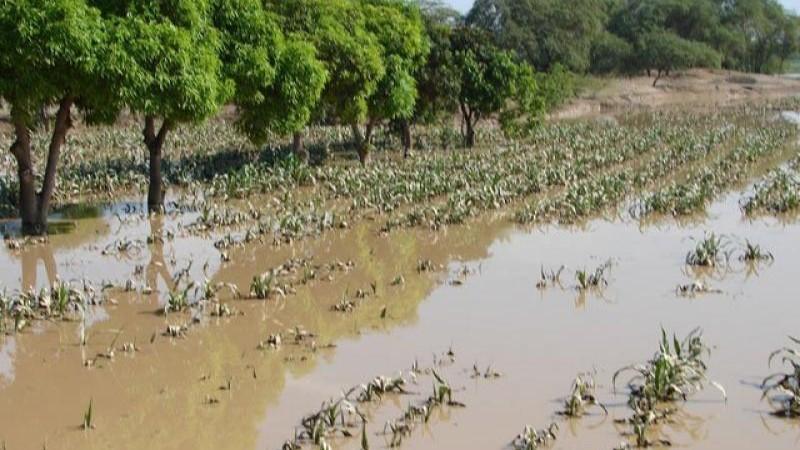 Conveagro evaluará medidas para mitigar efectos de lluvias que ponen en riesgo abastecimiento de alimentos