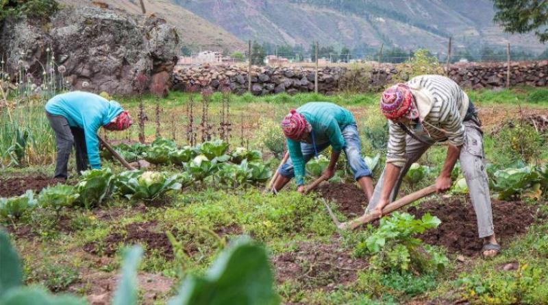 Conveagro: Violencia y vandalismo son ejercidos por personas ajenas al movimiento social rural