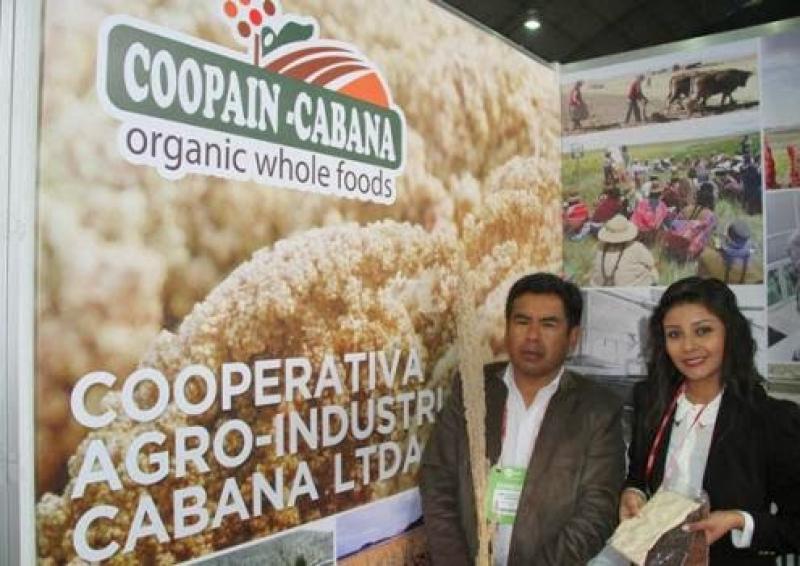 COOPAIN CABANA CERTIFICÓ 1.400 TONELADAS DE QUINUA ORGÁNICA
