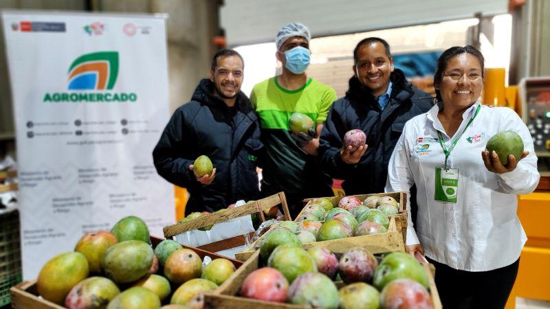 Cooperativa de productores de Piura ingresa al mercado retail con 12 mil kilogramos de mango