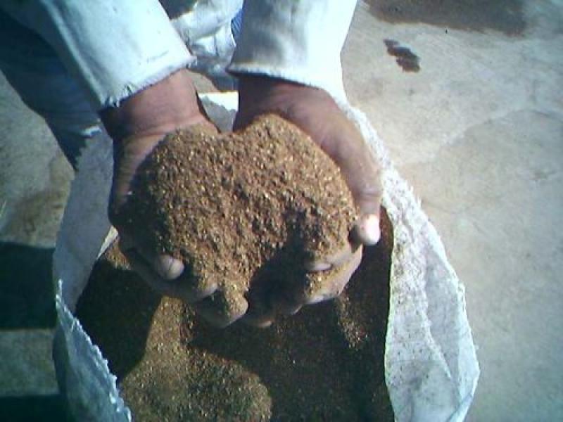 CORPORACIÓN MISTI: PRODUCCIÓN ORGÁNICA ES UN MERCADO PEQUEÑO EN CRECIMIENTO