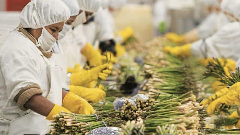 Costo del bono Beta agrario ascendería a más de S/5,000 millones