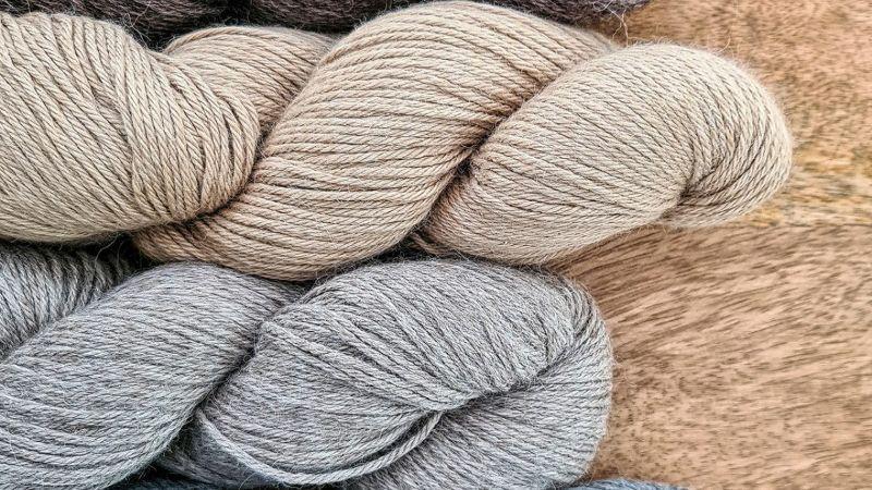 Crece exportación de pelo fino de alpaca: llegó a US$ 114 millones en 2025