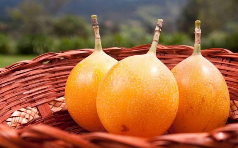 Crece la exportación peruana de granadilla y hay buenas perspectivas para el 2025