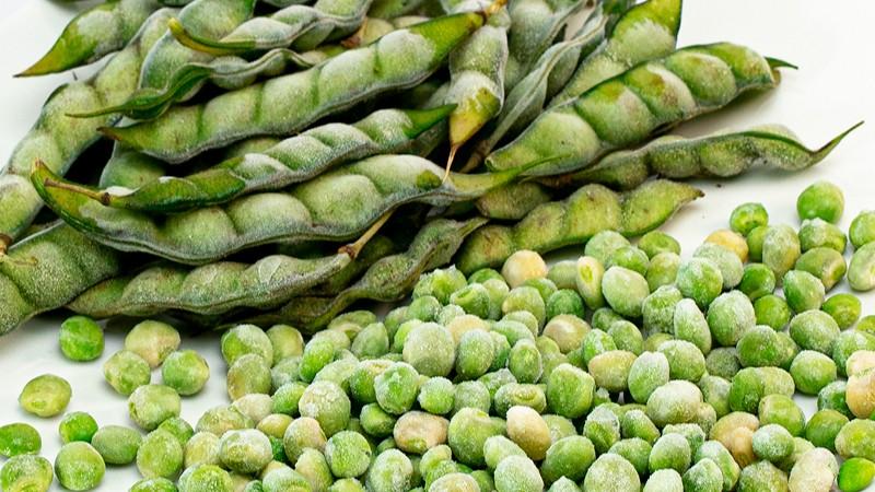 Crecen en 55% los despachos peruanos de frijol de palo en el primer trimestre