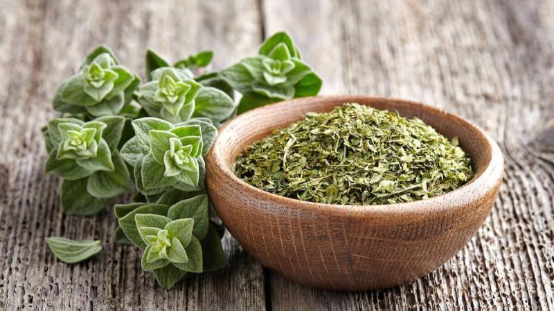 Crecen las exportaciones de orégano peruano y llegan a 22 mercados en primer cuatrimestre del año