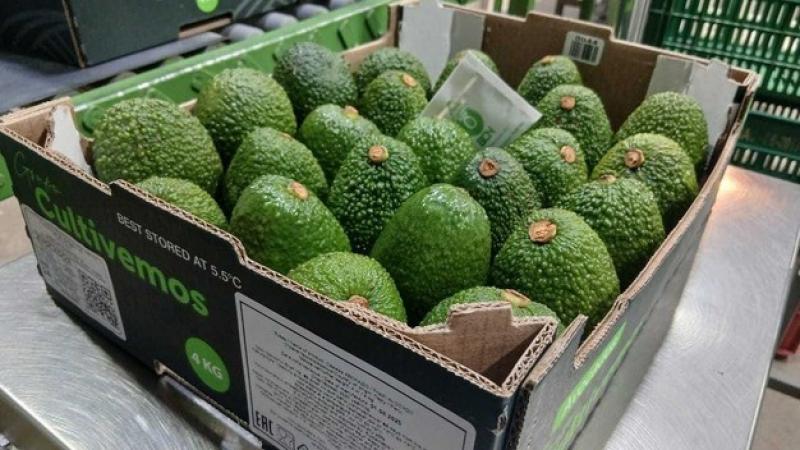 Cultivemos apunta a extender su temporada y fortalecer presencia en Asia