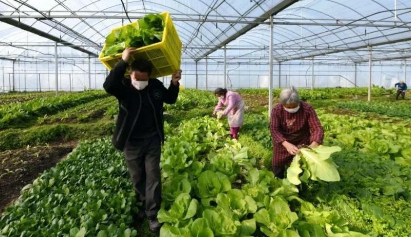 De Shanghái a las Comunidades Campesinas