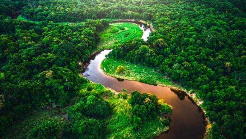 Declaran el 12 de febrero Día de la Amazonía Peruana