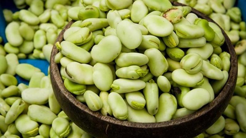 Despachos peruanos de habas superan los US$ 4 millones hasta septiembre