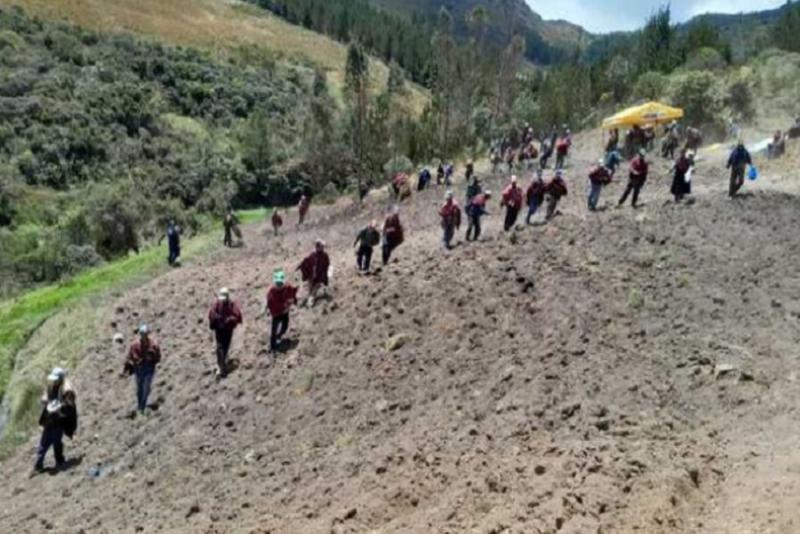 Destinan S/ 205.284 a campaña de siembra de pastos y forrajes en Lambayeque