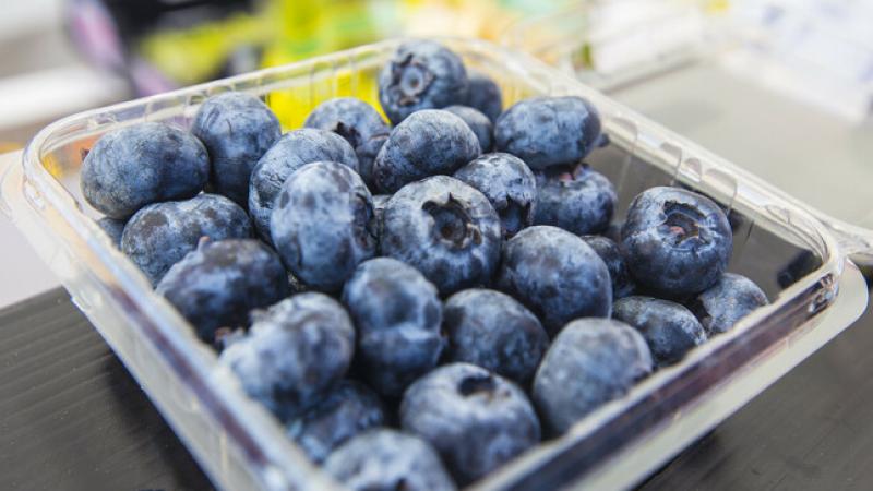 Destinan S/ 500 mil para disminuir impacto ambiental por la exportación de berries en agroindustria peruana