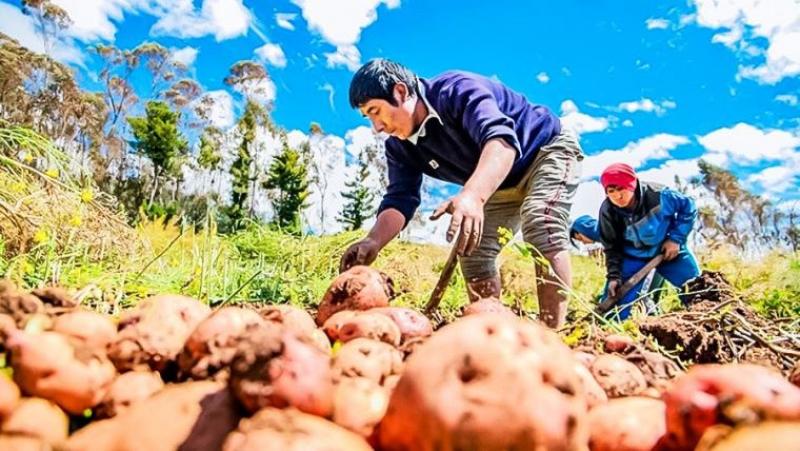 Diversificar con valor e inclusión: la ruta de la reactivación