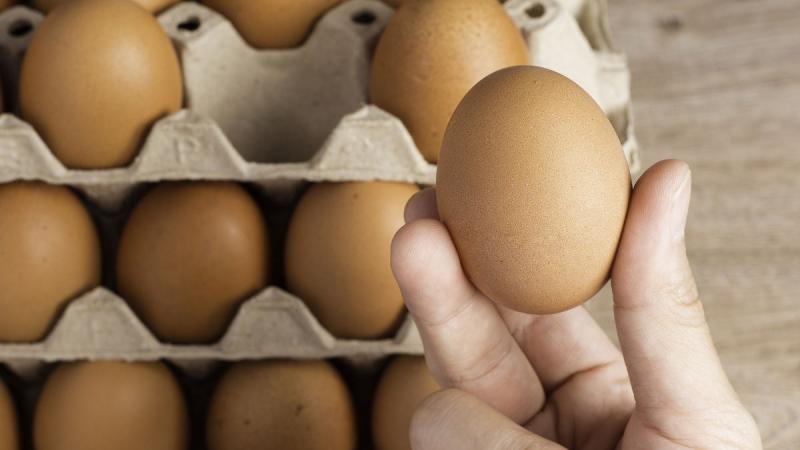 Dos empresas peruanas entre los 10 mayores productores de huevos de América del Sur