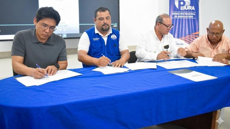 DRA Piura apuesta por el Ajonjolí para abrir nuevos mercados de exportación