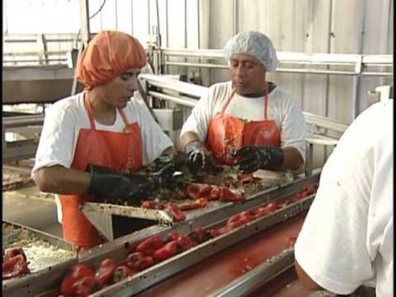 Ecosac sale a abrir mercados en Europa para línea de conservas