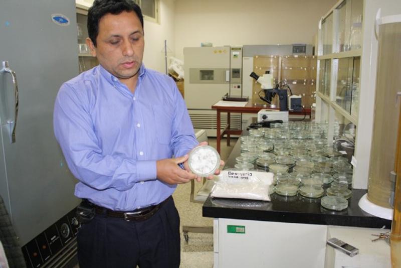 EEA-DONOSO SE RENUEVA Y GENERA TECNOLOGÍA PARA PEQUEÑOS Y MEDIANOS AGRICULTORES