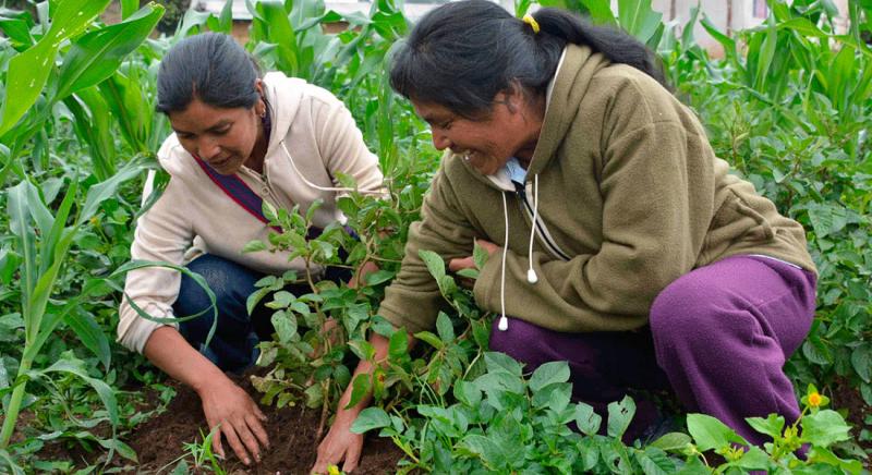 “El agro es un espacio retador para el enfoque de género”
