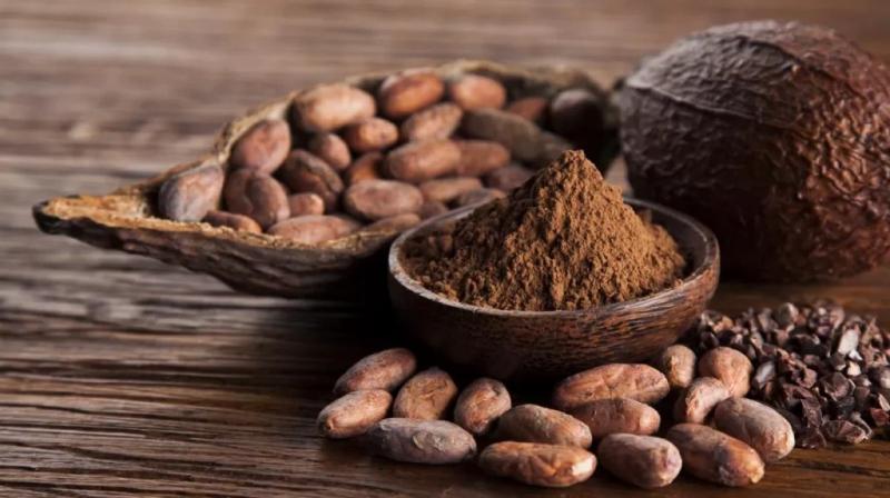 El cacao vive su resaca tras la burbuja: Perú, ante el reto de reinventarse