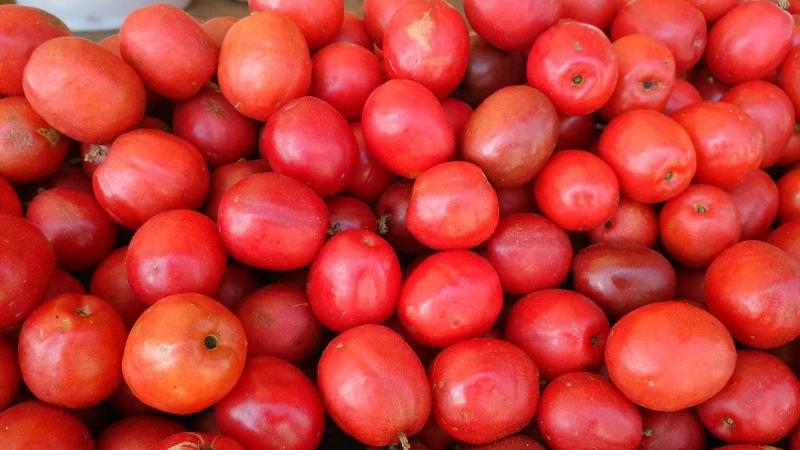 El dulce y efímero sabor de la “ciruela peruana”