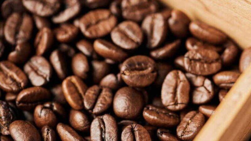 El mercado del café repunta tras tocar mínimos de seis meses: volatilidad y factores de soporte emergentes