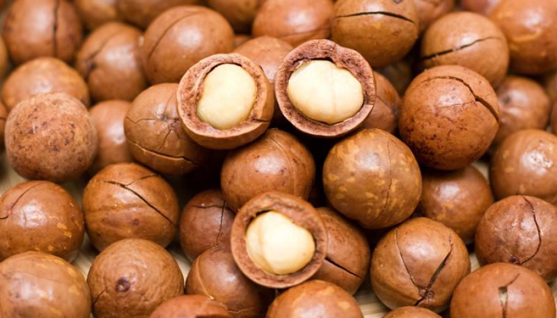 El mundo está necesitando más nueces