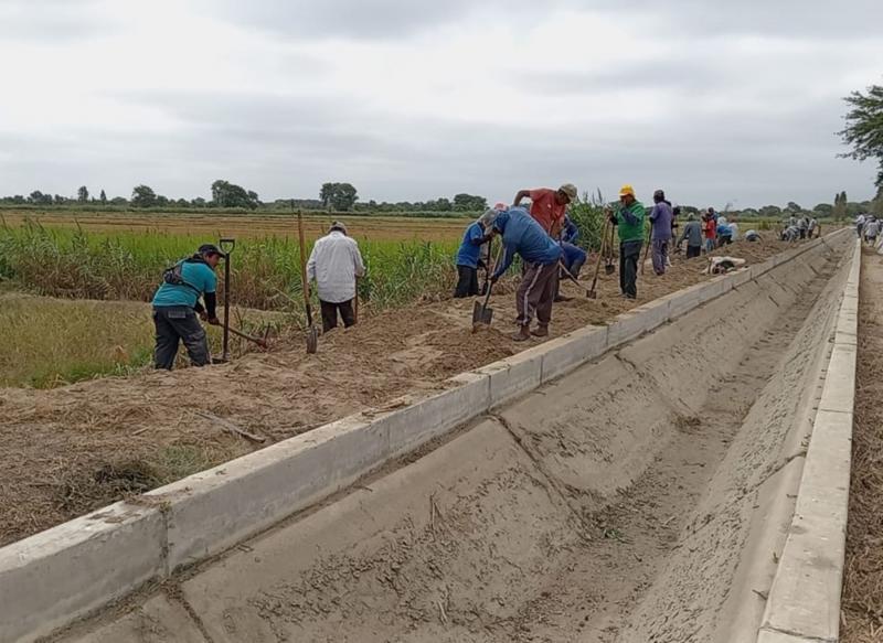 El Niño: agricultores participan en trabajos de descolmatación en zona del Bajo Piura