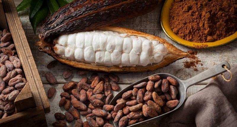 El secreto del "chocolate más exquisito del mundo" que guarda el Amazonas en Perú